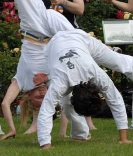 Capoeira game